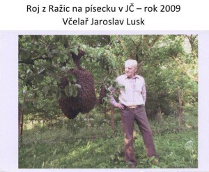 roj-z-razic